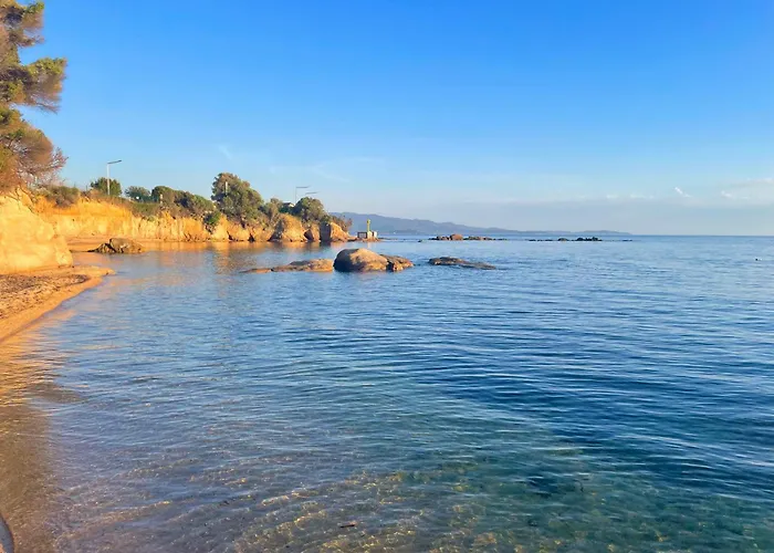 Novaya Ajaccio (Corsica)